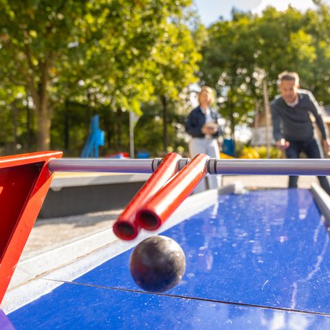 Landal Klein Oisterwijk - Camping Oisterwijk - Image N°3