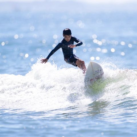 Summio Marina Port Zelande  - Camping Goeree-Overflakkee - Image N°3