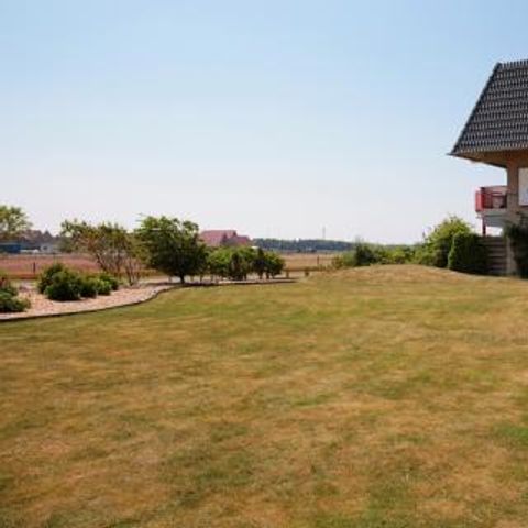 Amelander Paradijs - Camping Ameland - Image N°5