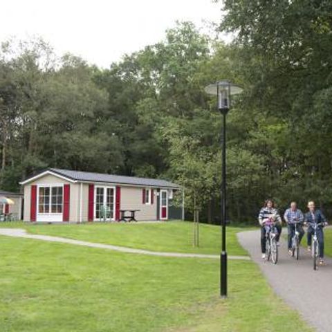 Bospark De Bikkels - Camping Deurne - Image N°3