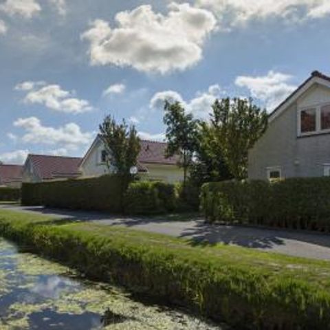 Duinpark De Witte Raaf - Camping Noordwijk - Image N°2