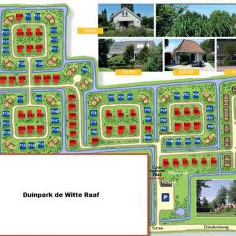 Duinpark De Witte Raaf - Camping Noordwijk - Image N°5