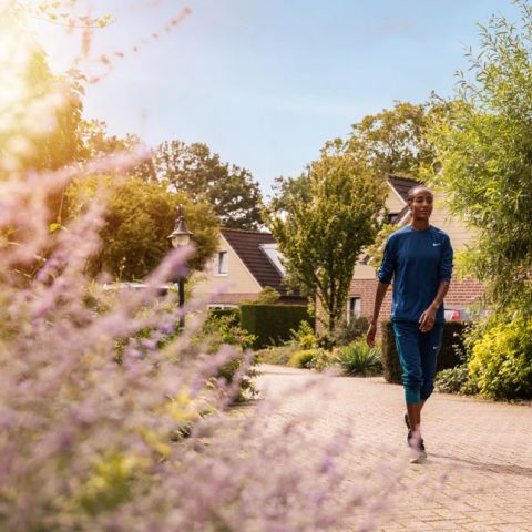 Summio Vakantiepark De Riethorst - Camping Mook en Middelaar - Image N°4