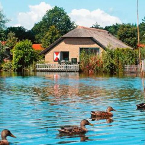Landal De Veluwse Hoevegaerde - Camping Ermelo - Image N°3