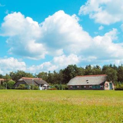 Landal De Veluwse Hoevegaerde - Camping Ermelo - Image N°5