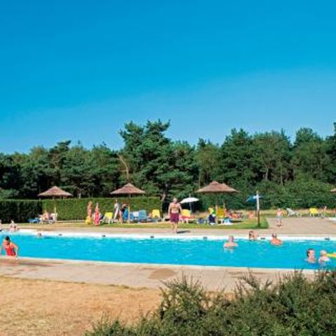 Landal De Veluwse Hoevegaerde - Camping Ermelo - Image N°2