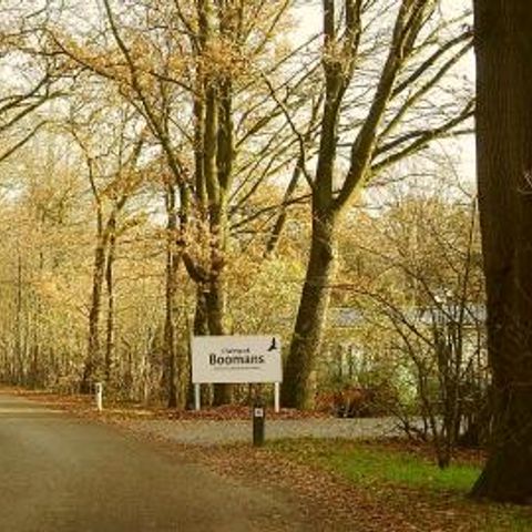 Chaletpark Boomans - Camping Doetinchem - Image N°5