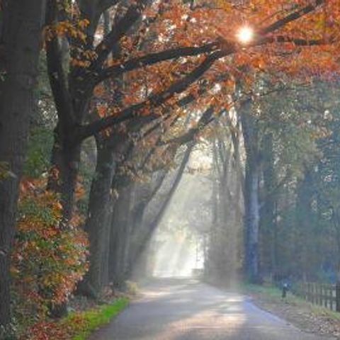 Chaletpark Boomans - Camping Doetinchem - Image N°6