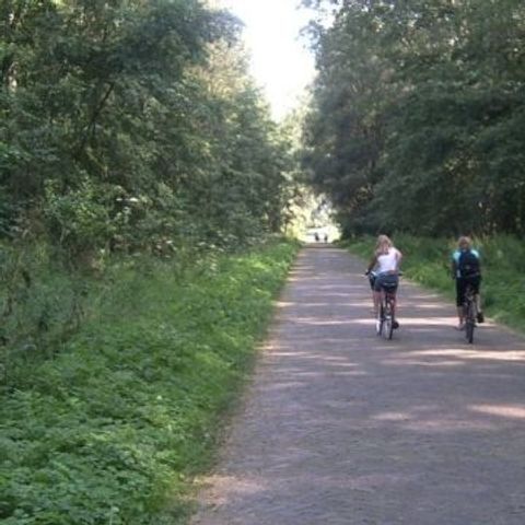 Chaletpark Boomans - Camping Doetinchem - Image N°2