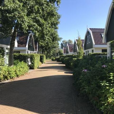 Residence Koningshof - Camping Bergen - Image N°2