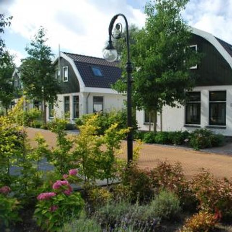 Residence Koningshof - Camping Bergen - Image N°3