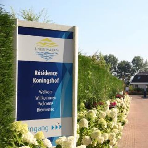 Residence Koningshof - Camping Bergen - Image N°5