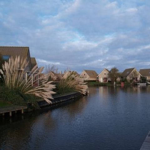 Bungalowpark Zuiderzee - Camping Medemblik - Image N°4