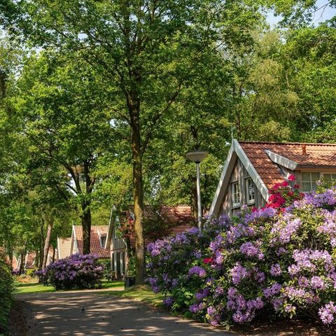 Buitengoed Het Lageveld - Camping Wierden - Image N°2