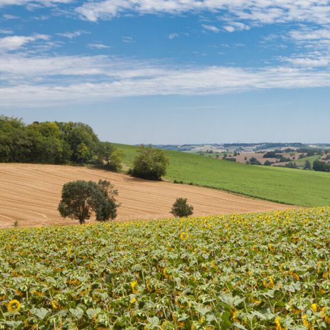 Vodatent Camping Le Camp de Florence - Camping Gers - Image N°3