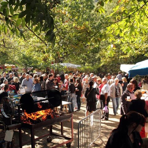 Vodatent Camping Le Rotja - Camping Pyrénées-Orientales - Image N°5