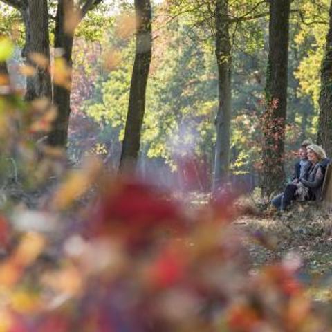 Vakantiepark De Kattenberg - Camping Winterswijk - Image N°5