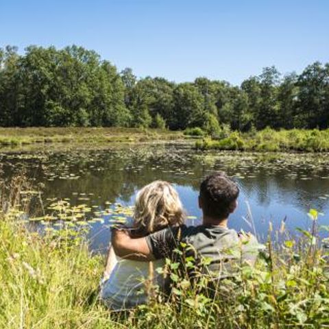 Vakantiepark De Kattenberg - Camping Winterswijk - Image N°2