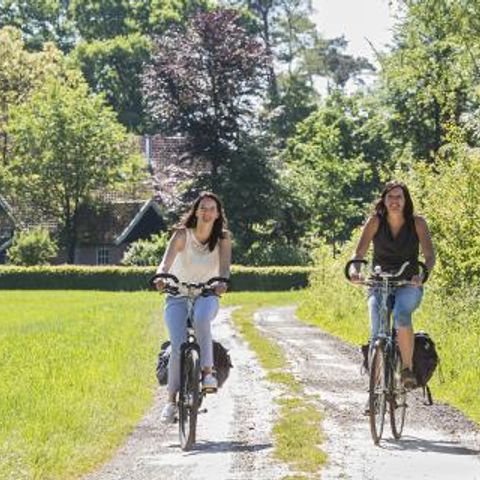 Vakantiepark De Kattenberg - Camping Winterswijk - Image N°3