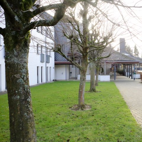 Corsendonk Sol Cress  - Camping Liège - Image N°6