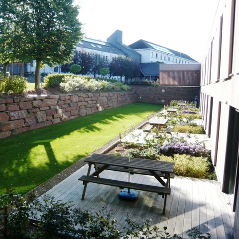 Corsendonk Sol Cress  - Camping Liège - Image N°4