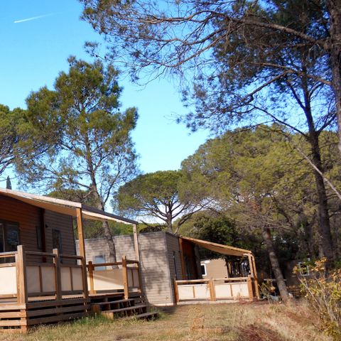 BUNGALOW 5 personnes - MISSOURI LUXE AVEC SPA
