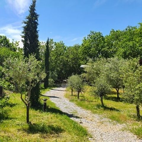 LODGE 2 personnes - Roulotte hôtelière climatisée avec petit déjeuner / Spa privatif en option