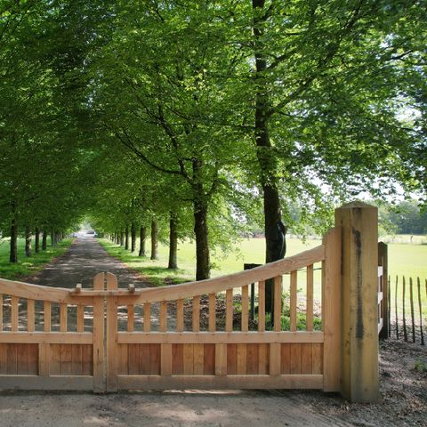 Landgoed oud Beekdal - Camping Ede - Image N°2