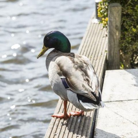 MAISON 12 personnes - Maison familiale