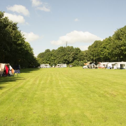 Recreatiecentrum Heumens Bos - Camping Heumen - Image N°4
