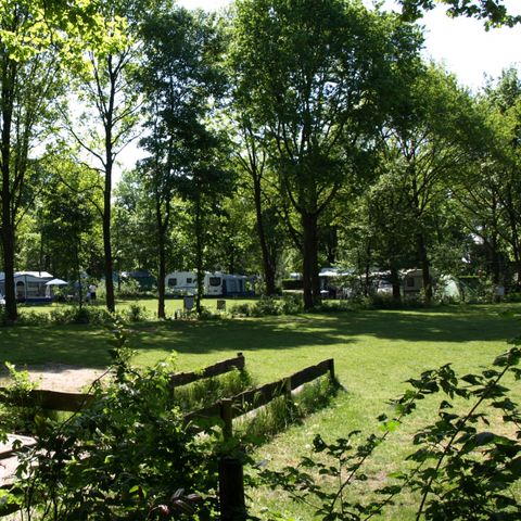Recreatiecentrum Heumens Bos - Camping Heumen - Image N°2