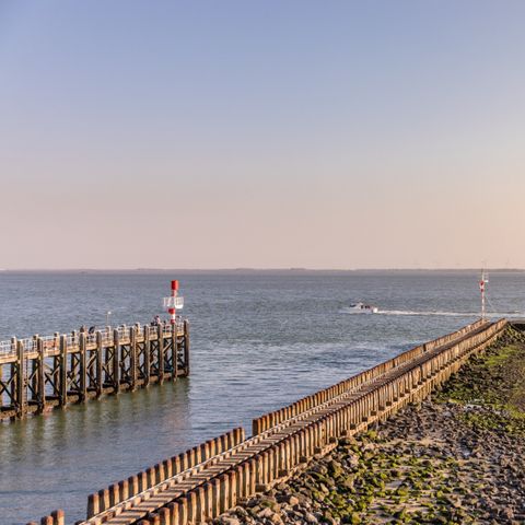 Roompot Strandpark Zeeland - Camping Vlissingen - Image N°5