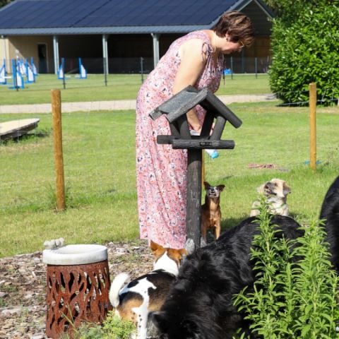 Buitengoed Erve Raewyck - Camping Hardenberg - Image N°5