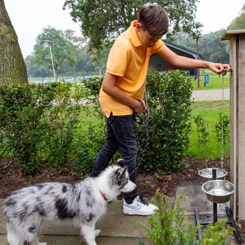 Buitengoed Erve Raewyck - Camping Hardenberg - Image N°2