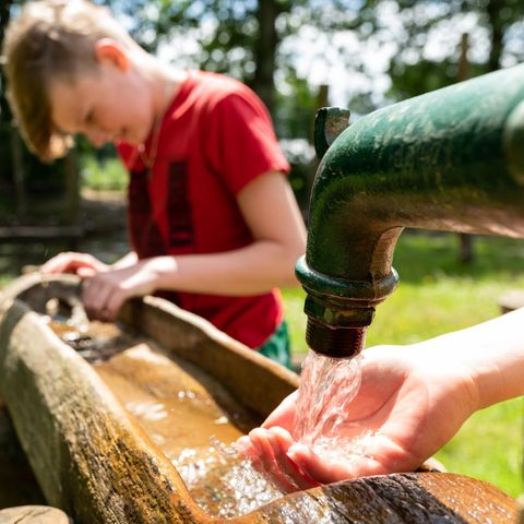 HÉBERGEMENT INSOLITE 6 personnes - Maison dans les arbres
