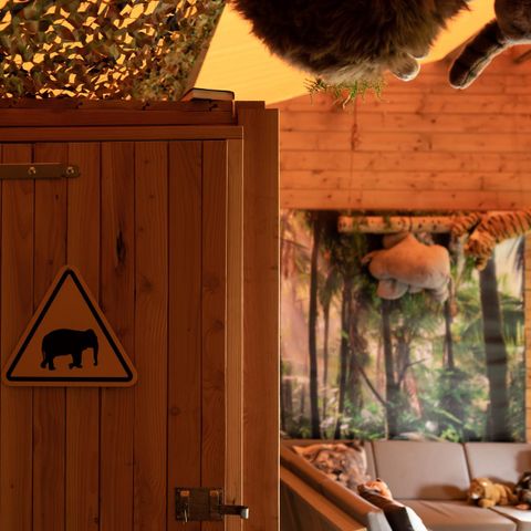 BUNGALOW TOILÉ 6 personnes - Tente bungalow Maison de la jungle