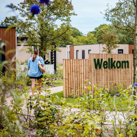 MAISON 6 personnes - Aigle nain