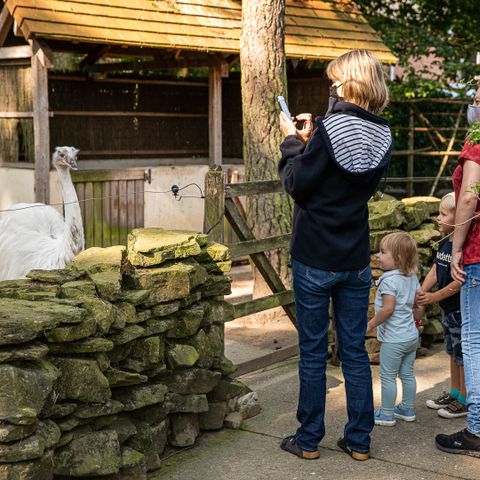 Familiepark Goolderheide - Camping Limburg Belge - Image N°6