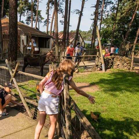 Familiepark Goolderheide - Camping Limburg Belge - Image N°5