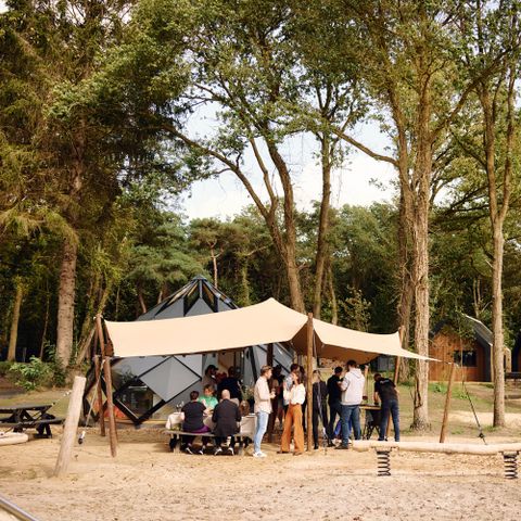 Roodewoud - Camping Aa en Hunze - Image N°5