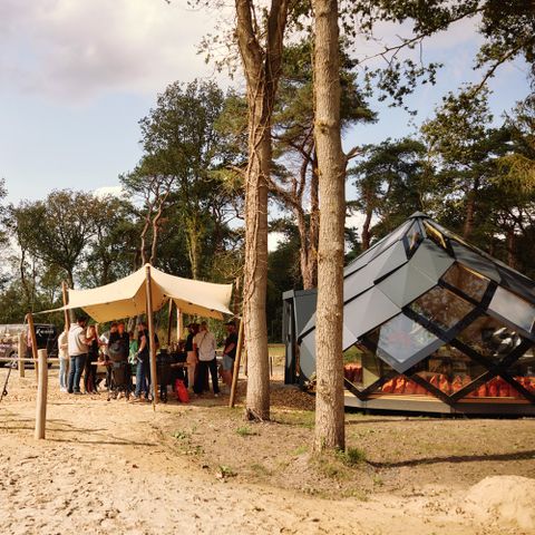 Roodewoud - Camping Aa en Hunze - Image N°4