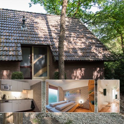 Lodge 4 personnes - Plus