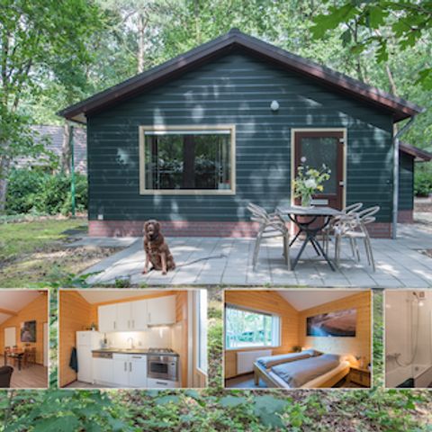 Bungalow 4 personnes - Maison de vacances Plus