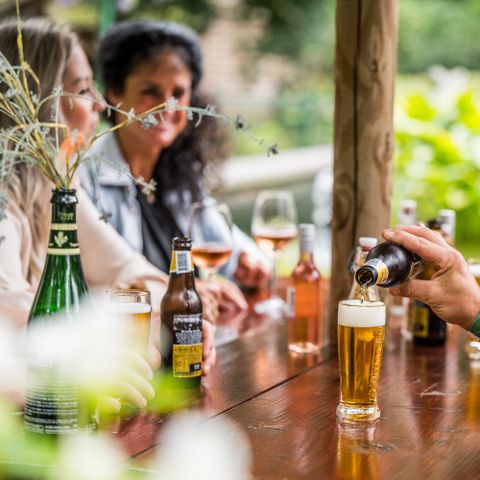 Vakantiepark Zevenbergen - Camping Bernheze - Image N°6