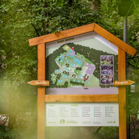 Vakantiepark Zevenbergen - Camping Bernheze - Image N°5