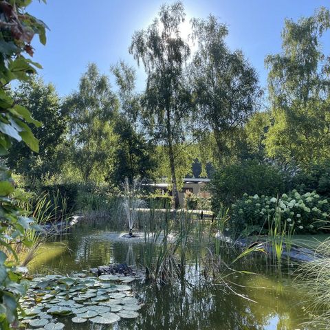 Resort Valley - Camping Ede - Image N°2