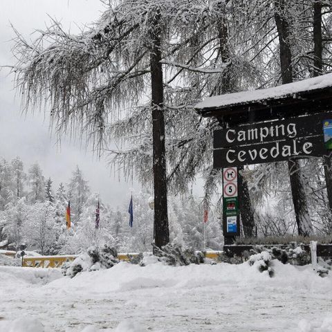 Camping Cevedale - Camping Trente - Image N°2