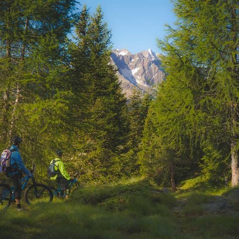 Camping Cevedale - Camping Trente - Image N°5