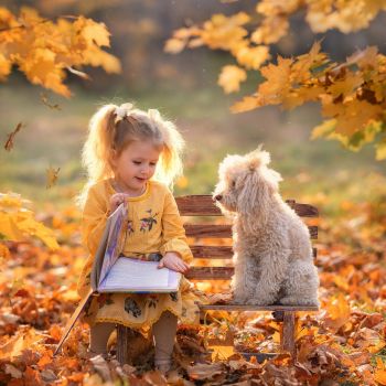 Parcs de vacances pour la Toussaint