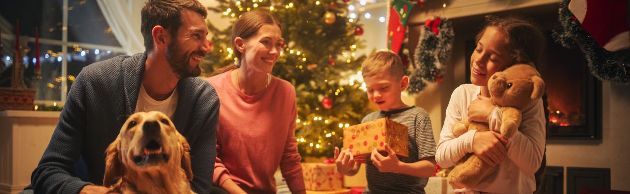 Maison de vacances pour Noël 2026